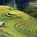 시민로457번길 이미지