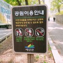 향천리(삽티공원)야외운동기구 | 예산) 삽티공원 어린이나무놀이터를 아시나요?