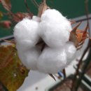 농업기술센터 (3층) 이미지