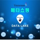 바네스(VANESSE) 네이버블로그