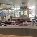 안경,진정성 강화군행복센터점 이미지