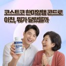 한미식품 | 코스트코 한미양행 콘드로이친1200 한 달 먹어본 후기