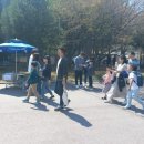 서울신동초등학교 | 초3입니다. 수학경시대회 응시해야 할까요?