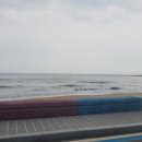 화진포호수민박 이미지