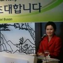 대한국제여행사 이미지