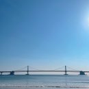 스카이메디팜 | 부산 해운대 블루라인파크 스카이캡슐 예약하는 방법, 미포정거장 출발 오션뷰