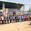 도하초등학교 이미지