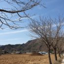 용항리경로당 네이버블로그