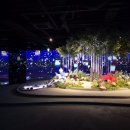 (주)코스리움 이미지