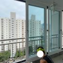 뉴 상인 이미지