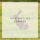 금천 한의원 이미지