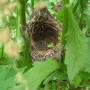 풍경시골 이미지