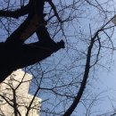 태종산업(1종) | 2022년 인문사회분야 학술지원사업 신규 과제(7.1.개시) 선정 결과 발표