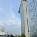 플라워포레스트 | 싱가포르 가든스 바이더베이 : 클라우드 포레스트, 플라워돔 후기