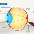 현모양처는 못됐네, 박연진. (더글로리 연진이도 색약일 가능성이 높은 이유) 이미지