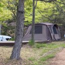 팔영산오토캠핑장 이미지