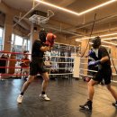 스톰복싱 이미지