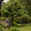 한병철농장 이미지