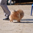 이천공설운동장 이미지