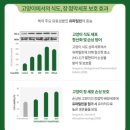 우리케어 | 안 먹으면 100% 환불 영양제, 오아가 뮤커스케어 우리집 냥이 리얼 후기