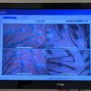 닥터포헤어 성신여대점 | 성신여대 두피관리 ‘닥터포헤어 성신여대점’ 솔직 후기