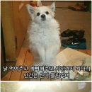 아바타 PC방 이미지