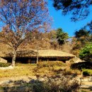 김유정사랑방 Daum카페