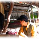 성주소류지 이미지