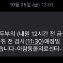 아람동물의료센터 이미지