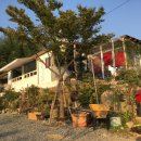 장안읍반룡리-87 이미지