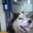 백두카센타 이미지