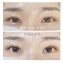 나우브로우
