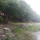 야영장민박 이미지