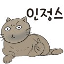 고양이마법사 이미지