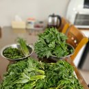 초록산 산림욕장 2 이미지