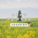 제2동규농장 | 전북 여행 고창 | 고창 청보리밭 축제 정보 총정리 학원농장 유채꽃 2026 실시간 후기