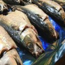 정왕지구대 이미지