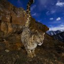 TOP PC SEASON2 이미지