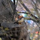 홍성군청 이미지