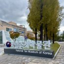 국립조세박물관 | 세종 가볼 만한 곳 국립 조세 박물관 다녀온 후기