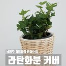 갈매사회복지관 | 남양주 기업출강 단체수업 라탄화분 커버 만들기