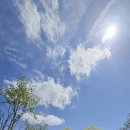 옥산1어린이공원 | 서울 어린이대공원 산책 후기 🌿 봄에 걷기 좋은 무료 공원