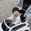 5월 일상 | 11개월 아기의 첫 바다 🌊🦀🐬
