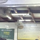 유랑하는 달팽이