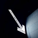 플로라그루밍독 이미지