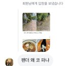 방학에 한 게 없었슨...근데 블로그를 써보니 한 게 많았슨...
