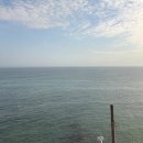 다릿돌 | 해운대 해변열차 2회탑승권 사용방법 미포-다릿돌전망대 왕복 후기