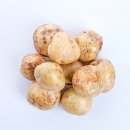 정선감자전 이미지