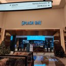 스플래시리조트 | [내돈내산] 인스파이어리조트 스플래시 베이 솔직 후기