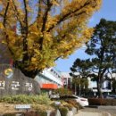 경인펜션민박 이미지